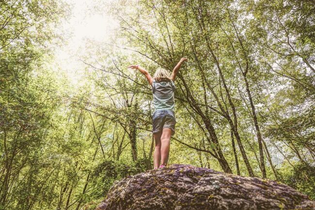 Természetismereti tábor