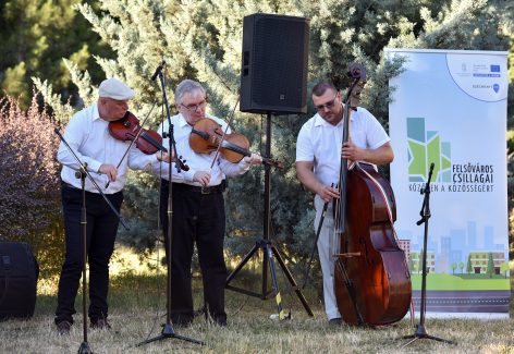 Népviseletes felnőttek zenélnek