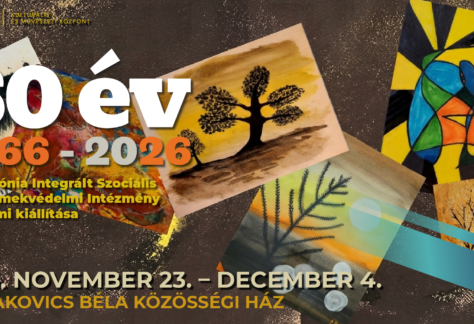 60 ÉV – A HARMÓNIA SZOCÁLIS INTÉZMÉNY KIÁLLÍTÁSA