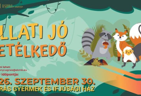 Állati jó vetélkedő